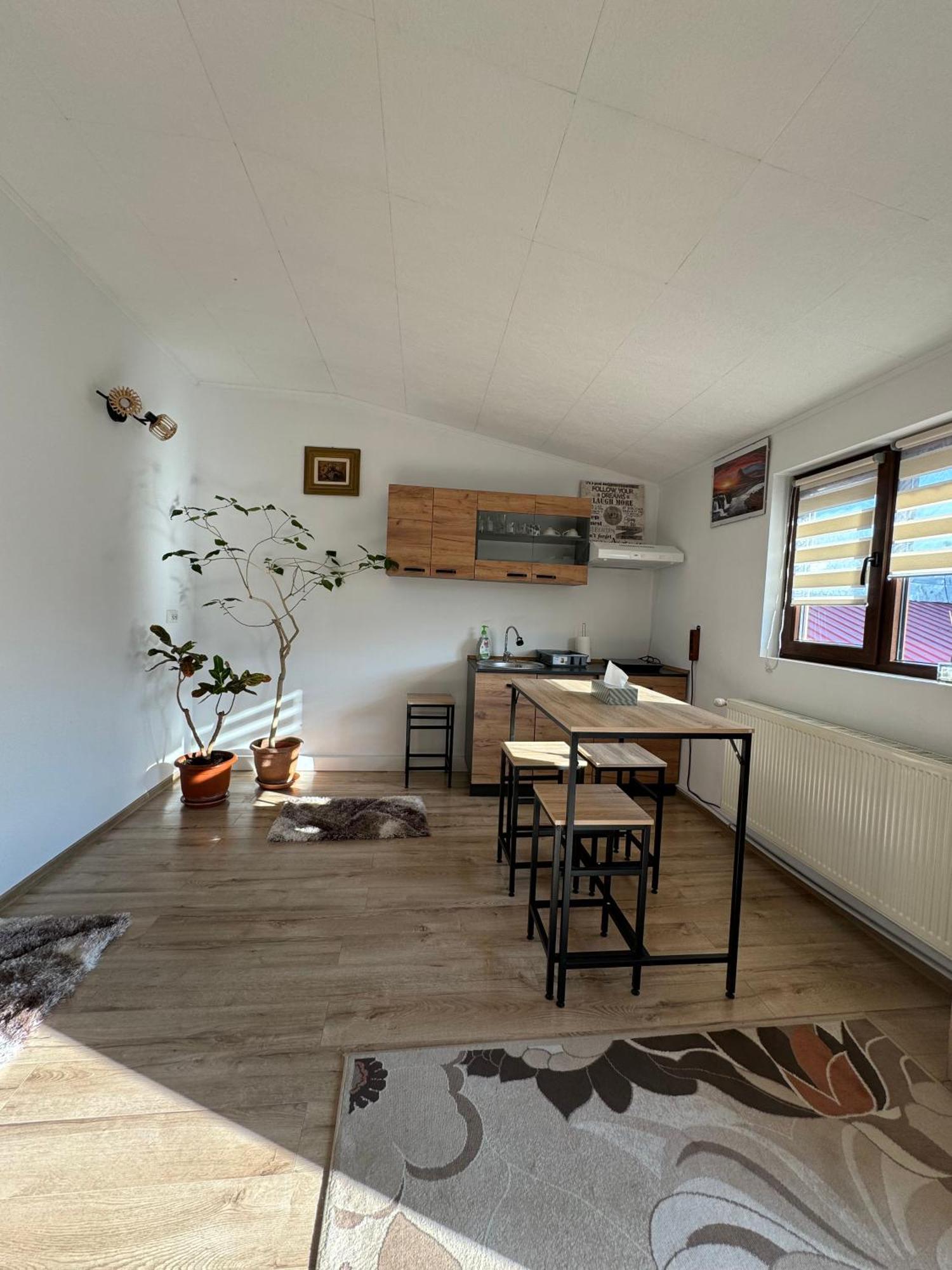 Victor Residence 38 Bukareszt Zewnętrze zdjęcie